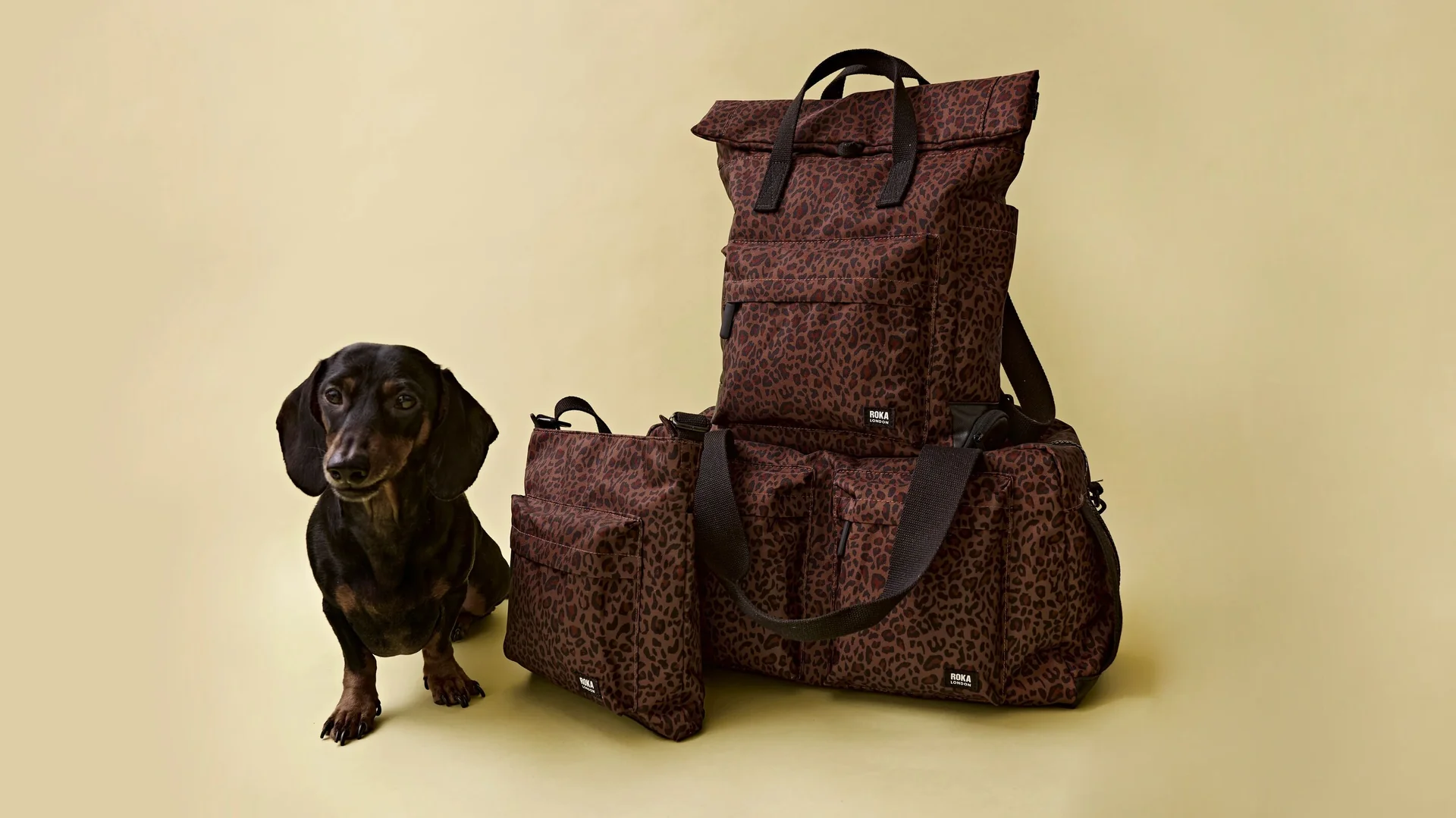 Built for Every Colorful Adventure
